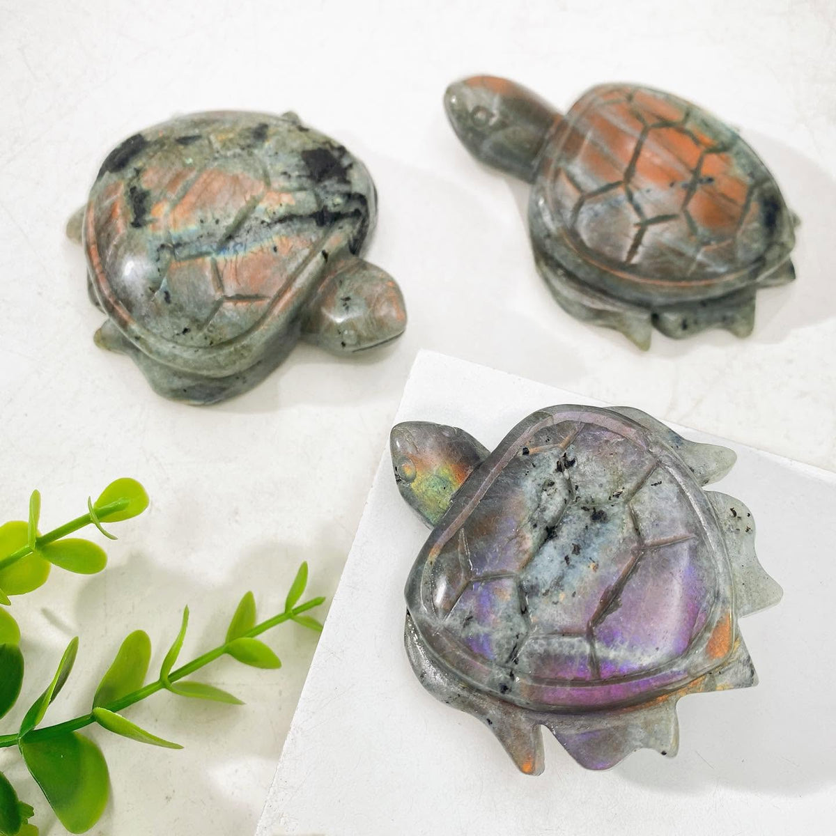 Crystal Carvings Turtle